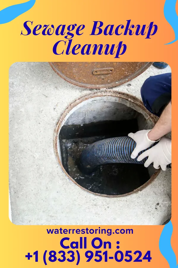 Sewage Backup Cleanup in Sopchoppy, FL